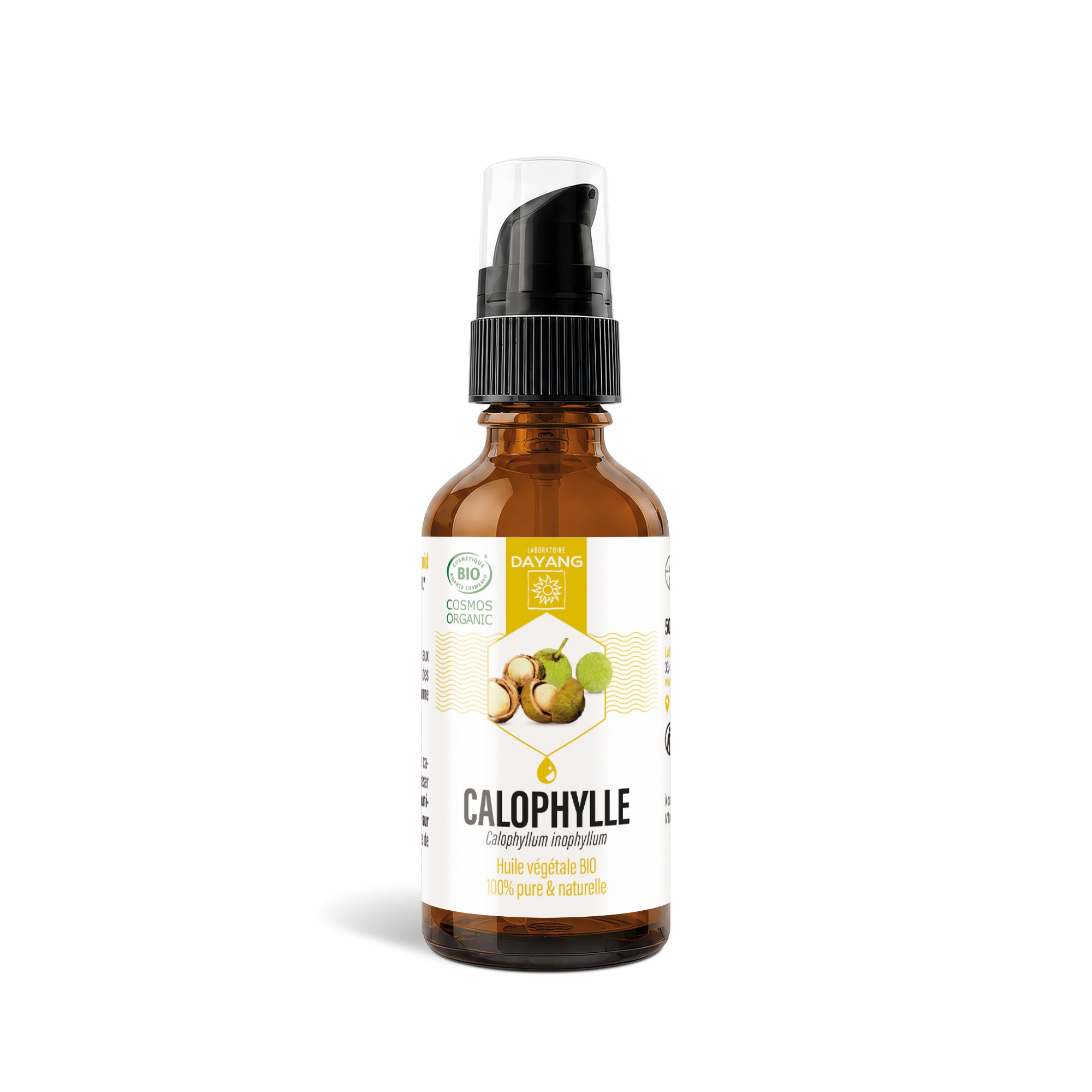 Calophylle BIO